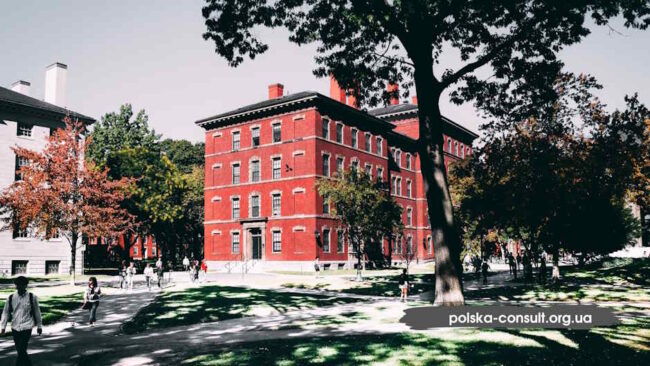 Техникум или университет в Польше – принимаем решение - Polska Consult TM